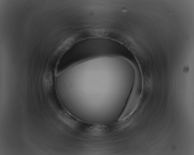 X0000095520128200801041232