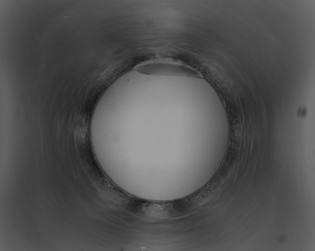 X0000095520129200801041232