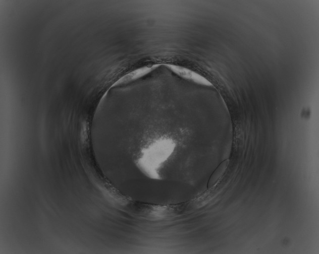 X0000095520130200801041231