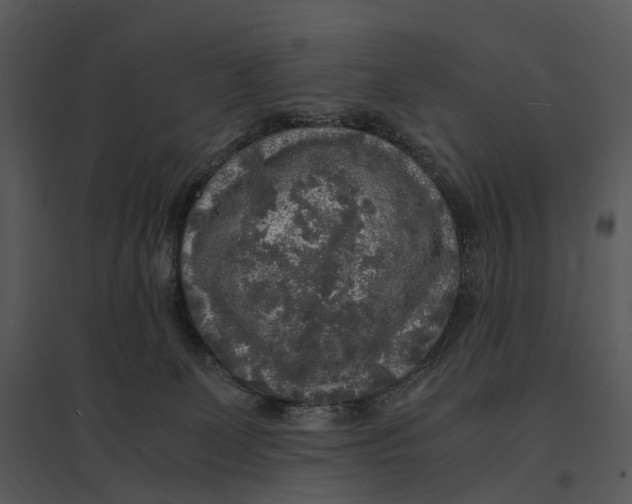 X0000095520131200801041231