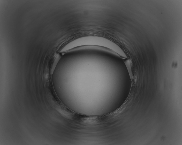 X0000095520132200801041231