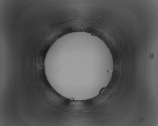 X0000095520133200801041231