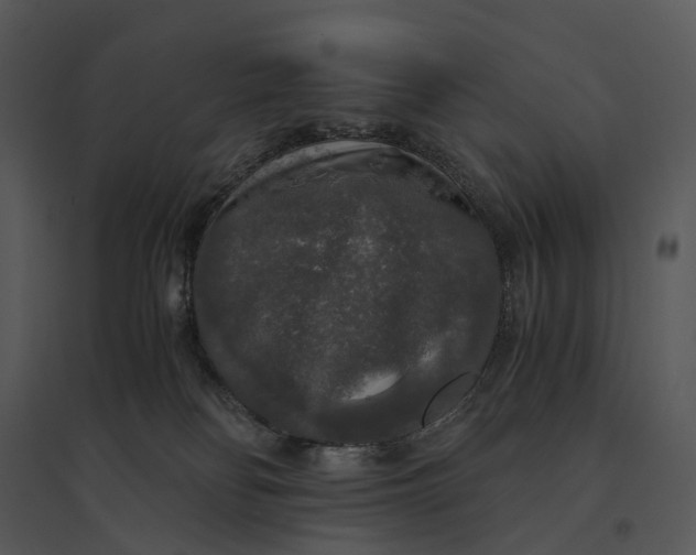 X0000095520134200801041231