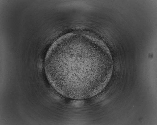 X0000095520135200801041231