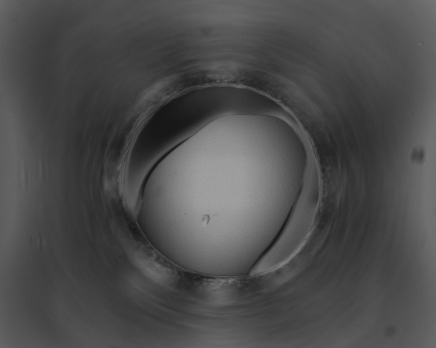 X0000095520136200801041231