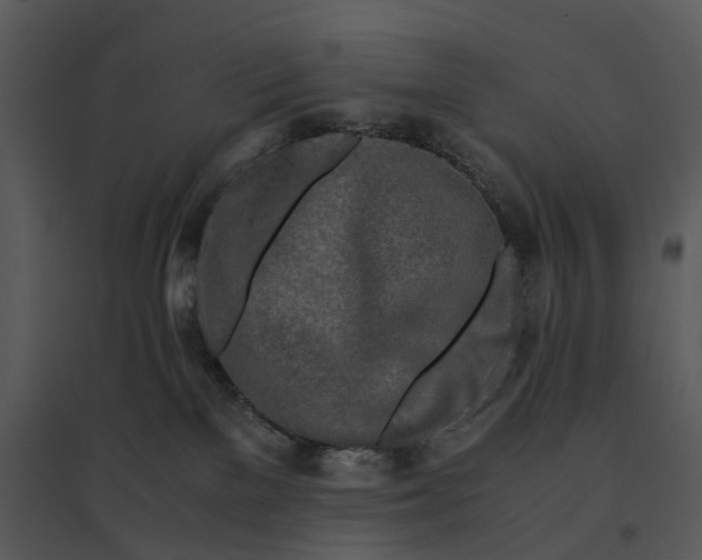 X0000095520137200801041231