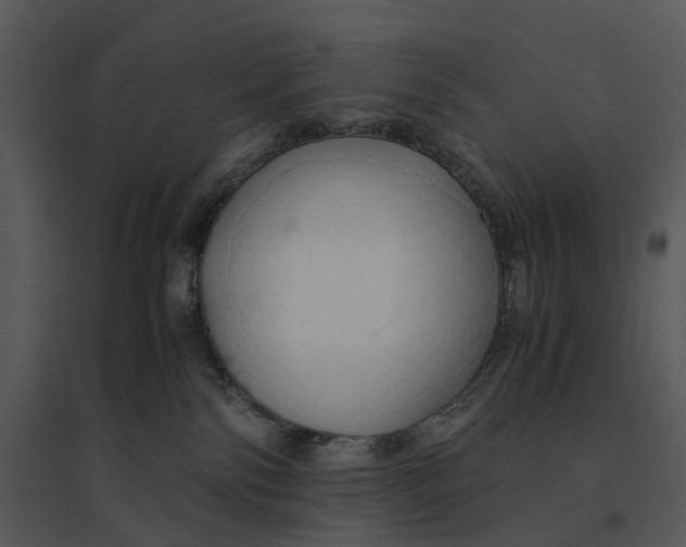 X0000095520138200801041231