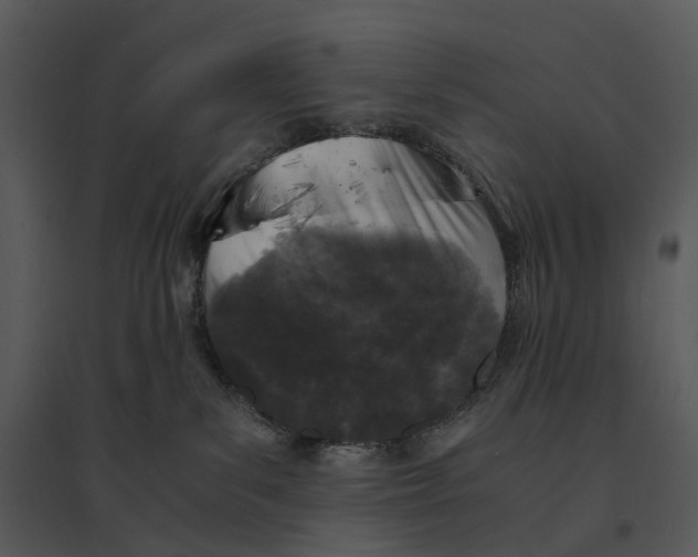 X0000095520139200801041231