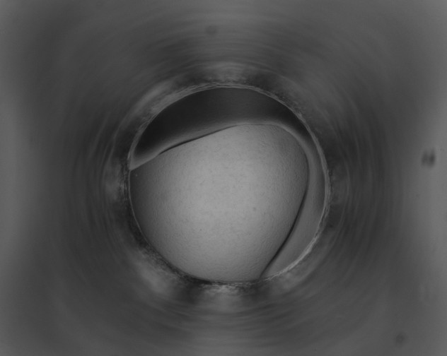 X0000095520140200801041231