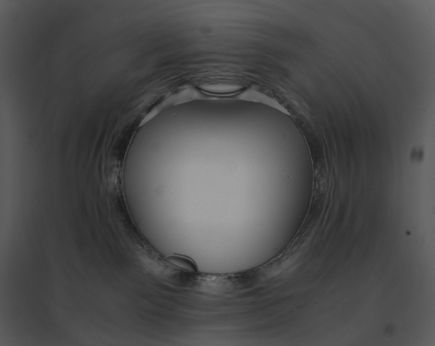 X0000095520141200801041231