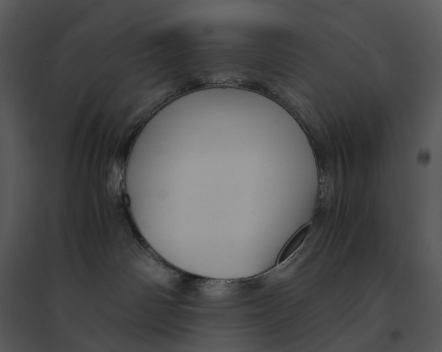 X0000095520142200801041231