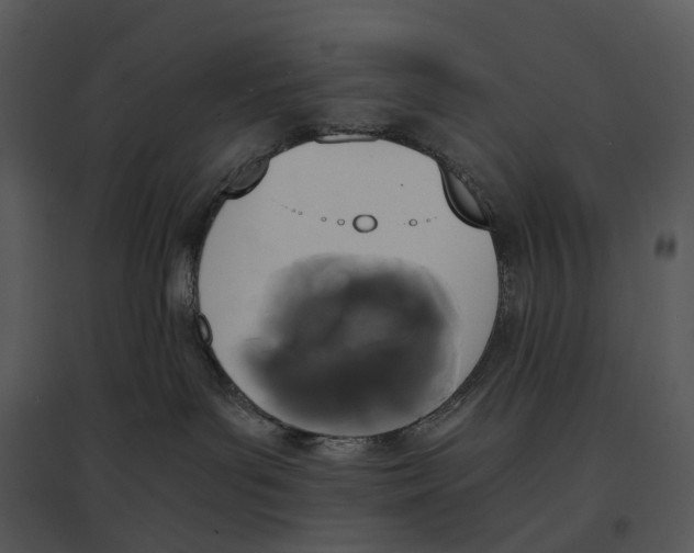 X0000095520143200801041231