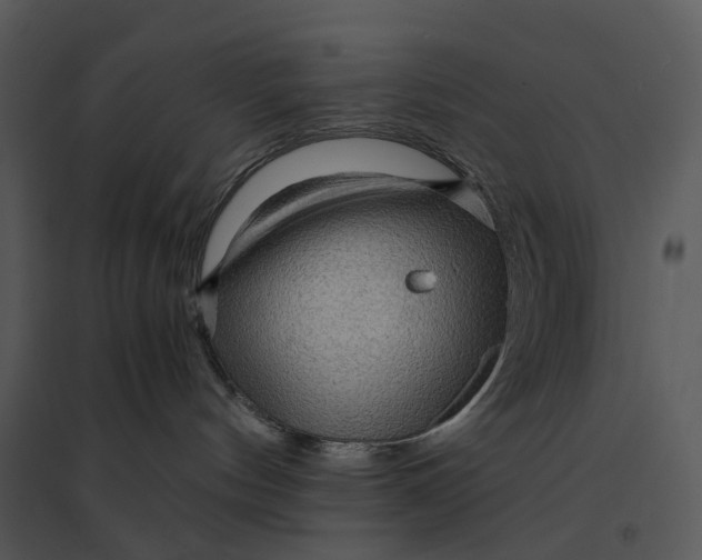 X0000095520144200801041231