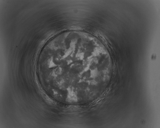 X0000095520145200801041230