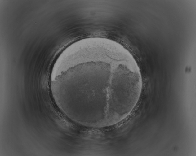 X0000095520146200801041230