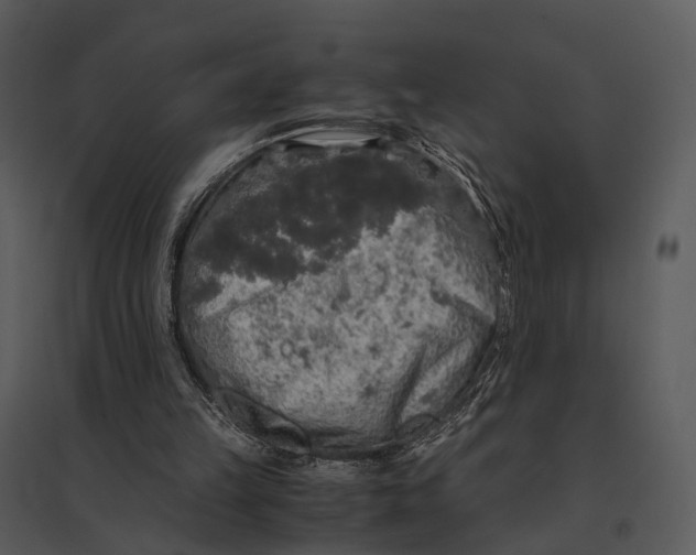 X0000095520149200801041231