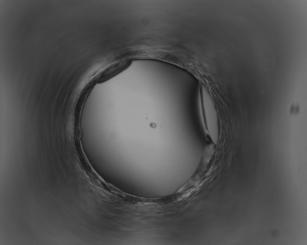 X0000095520150200801041231