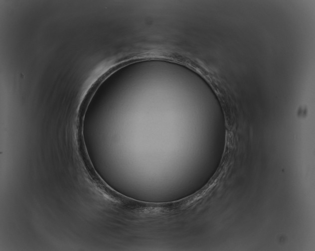 X0000095520152200801041231