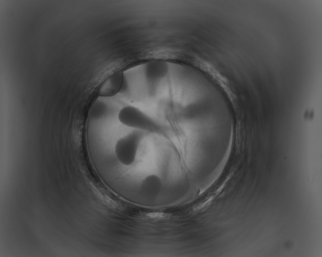 X0000095520153200801041231