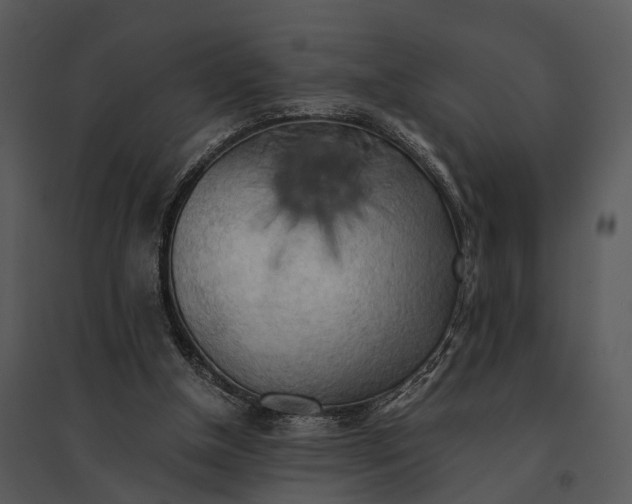 X0000095520154200801041231