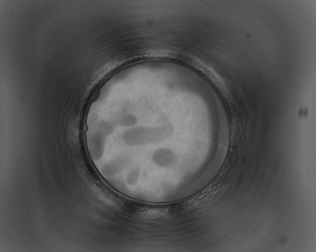 X0000095520155200801041231