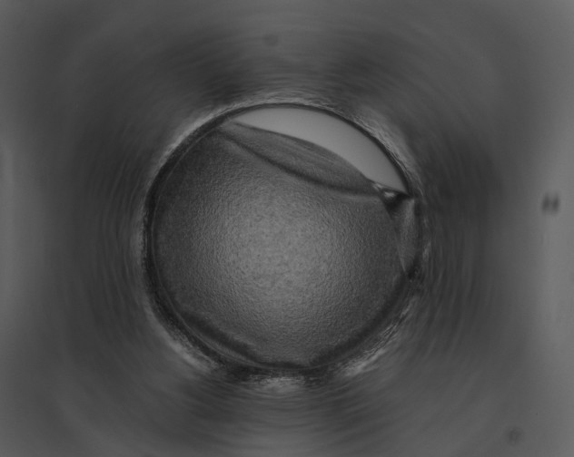 X0000095520156200801041231