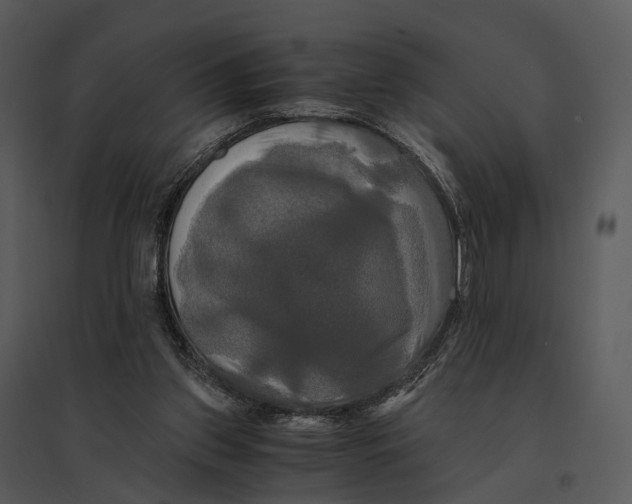 X0000095520157200801041231