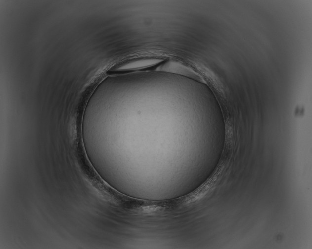 X0000095520158200801041231