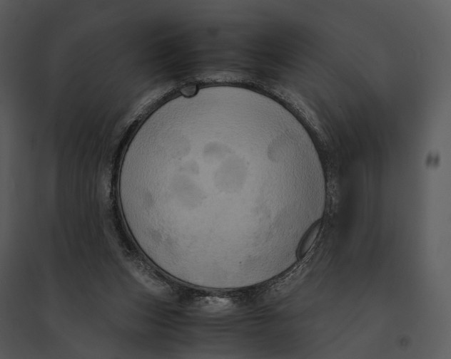 X0000095520159200801041231