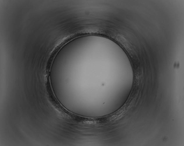 X0000095520160200801041231