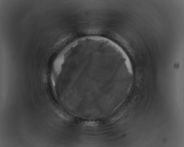 X0000095520161200801041231