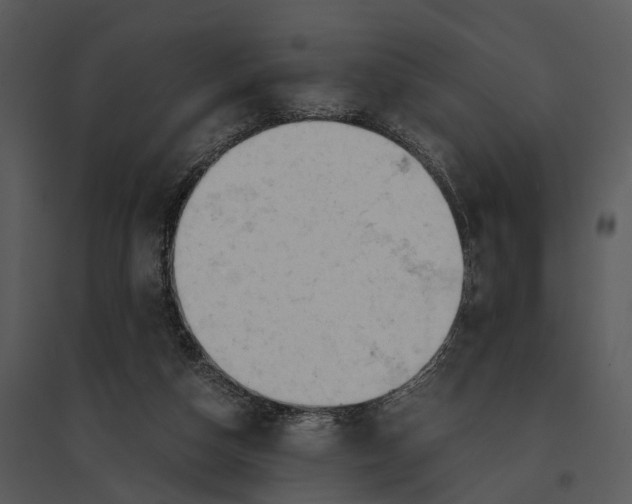 X0000095520162200801041231