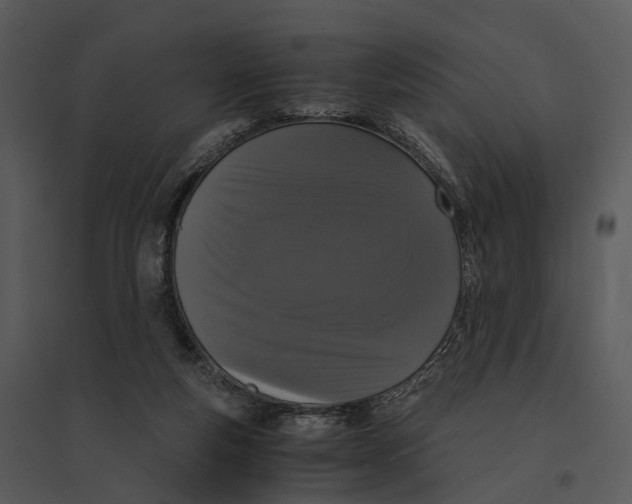 X0000095520163200801041231