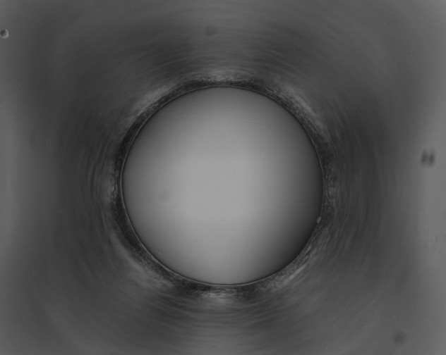 X0000095520164200801041231