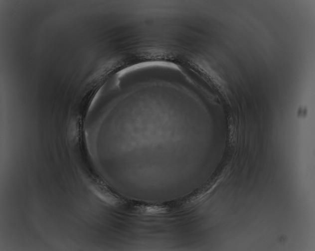 X0000095520165200801041231