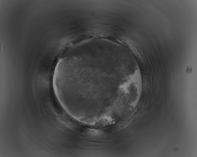 X0000095520167200801041231