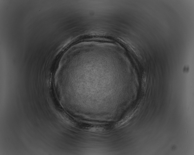 X0000095520168200801041231