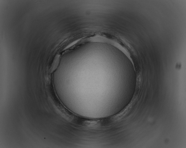 X0000095520170200801041231