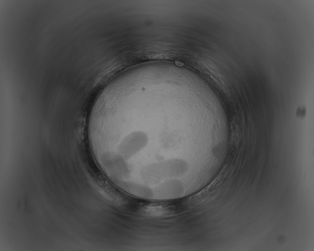 X0000095520171200801041231