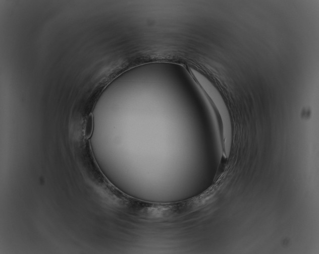 X0000095520172200801041231