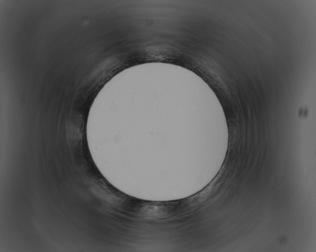 X0000095520174200801041231