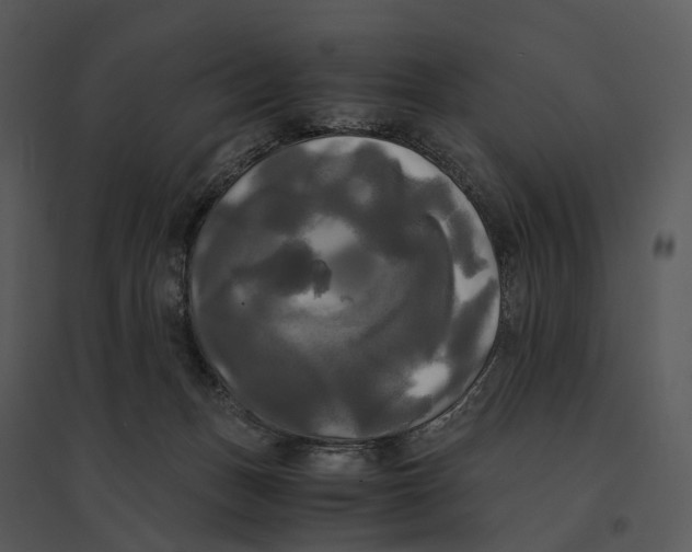 X0000095520175200801041231