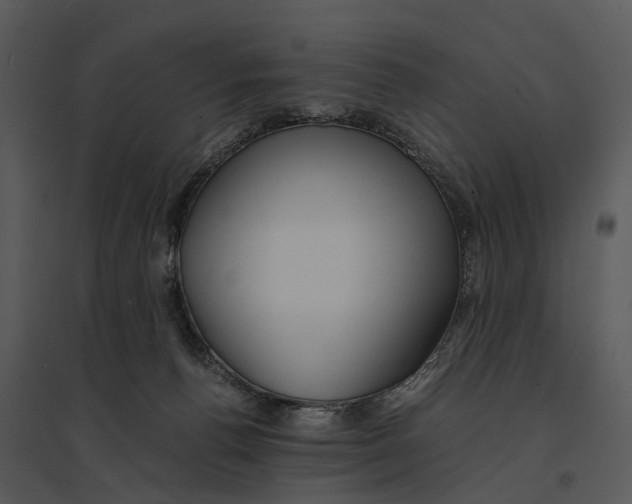 X0000095520176200801041231