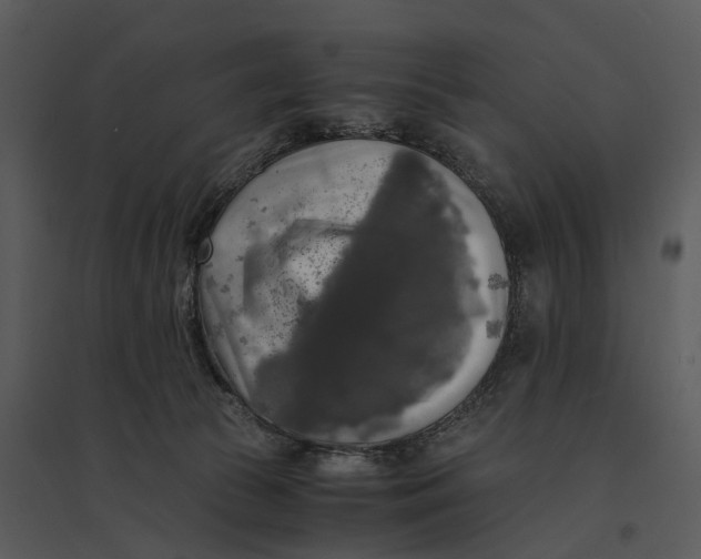 X0000095520177200801041231