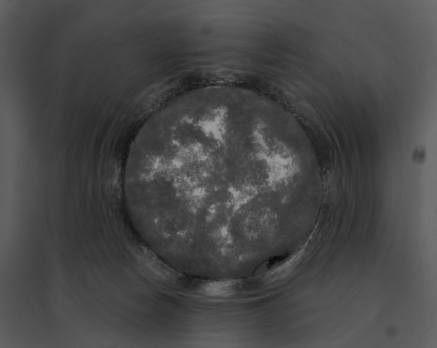 X0000095520178200801041231