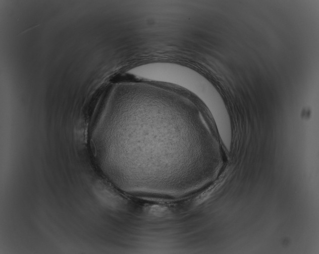 X0000095520180200801041231