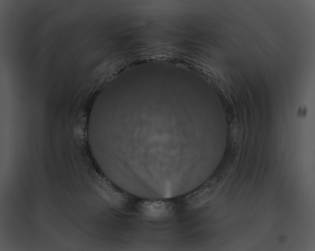 X0000095520181200801041231