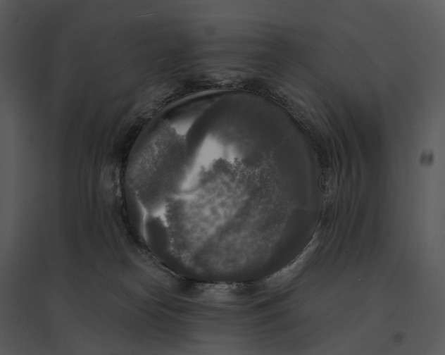 X0000095520182200801041231