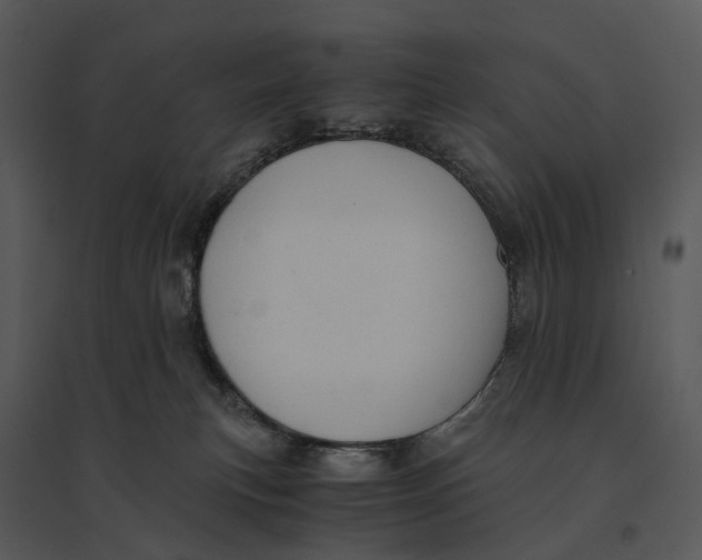 X0000095520183200801041231