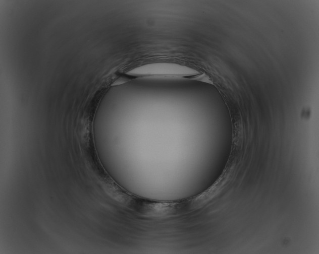 X0000095520184200801041231